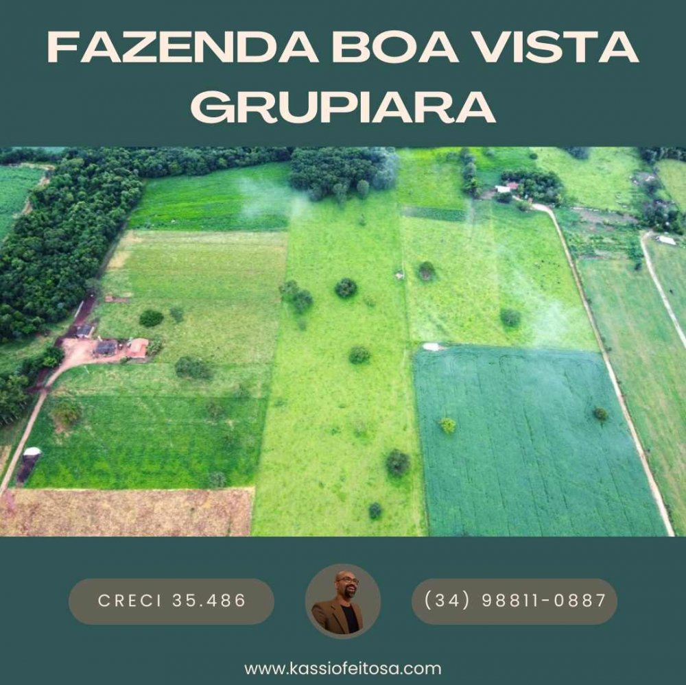 Fazenda - Venda - Rural - Conceio das Alagoas - MG