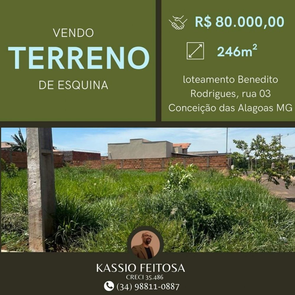 Terreno - Venda - Benedito Rodrigues - Conceio das Alagoas - MG