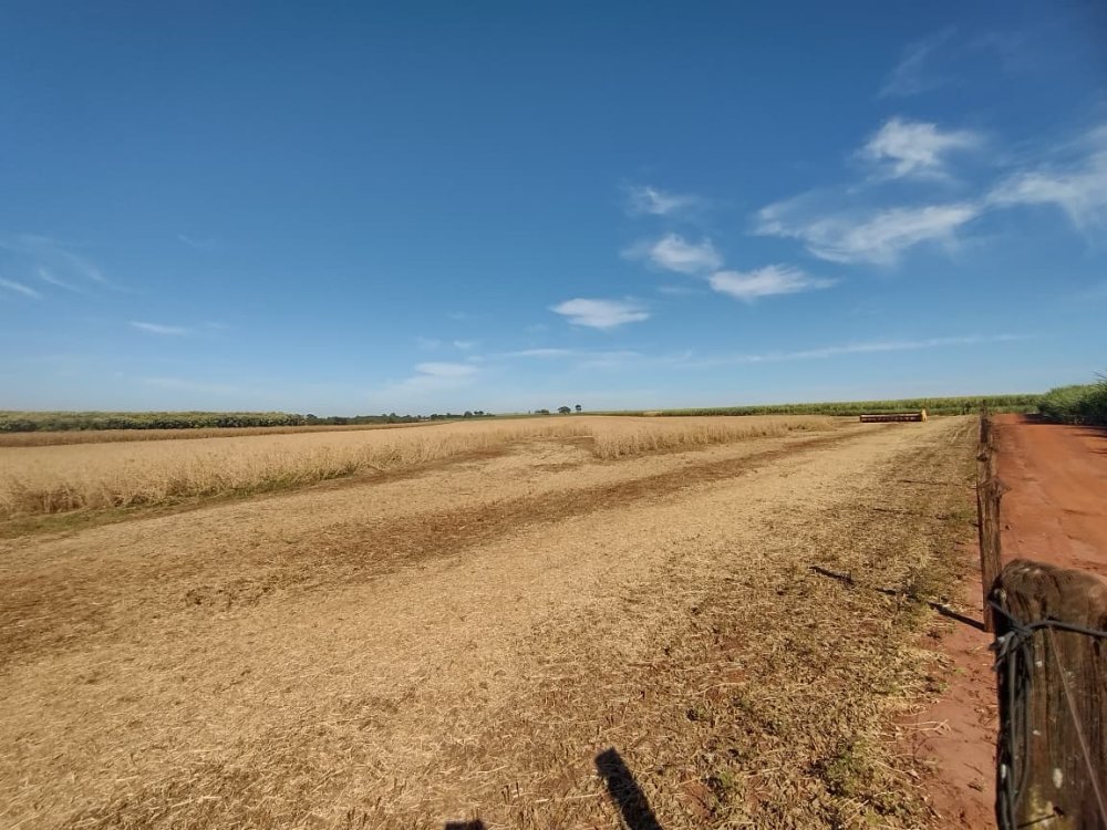 Rancho - Venda - Rural - Conceio das Alagoas - MG